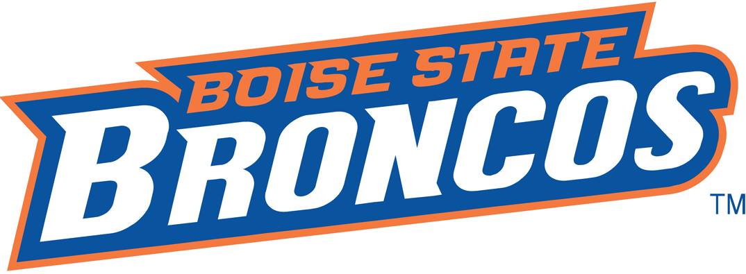 Boise State Broncos 2002-2012 Wordmark Logo diy fabric transfer